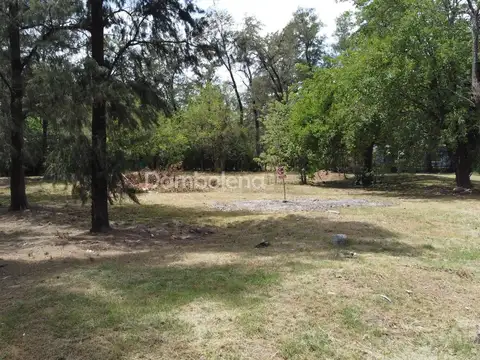 Colectora Sur Acceso Oeste km34.5 100