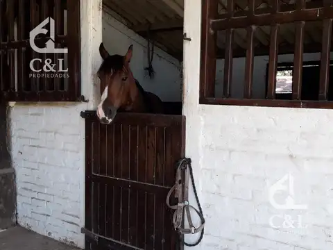 Benquerencia Farm Club - Lote 80