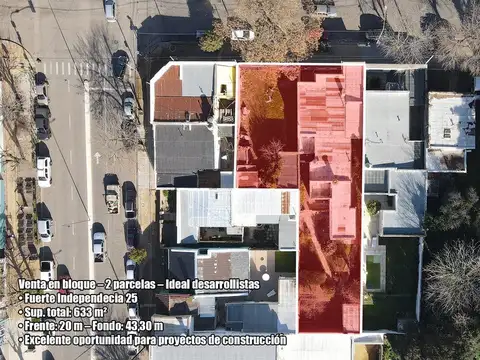 Fuerte Independencia 100