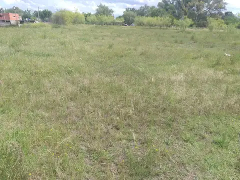 25 de Mayo e/ Del Canal y Maipú