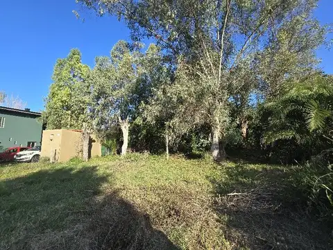 Terreno en Alquiler de 1000,0 m2