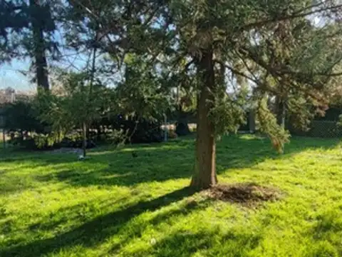 Terreno en Venta en Villa Gobernador Udaondo, USD 64.000