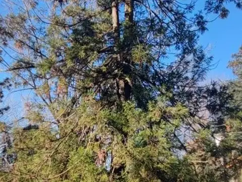 Terreno en Venta de 212,0 m2