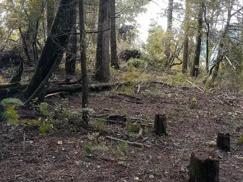 Terreno en Venta, en , Villa La Angostura,barrio  Aguas Azules ( Calfuco) Neuquén