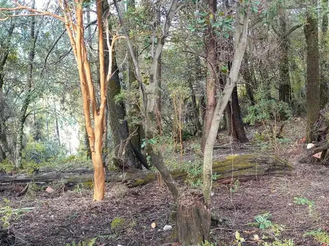 Terreno en Venta, en , Villa La Angostura,barrio  Aguas Azules ( Calfuco) Neuquén