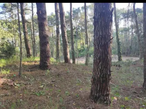 VENTA LOTE EN CARILO 