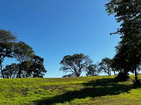 Terreno en Venta de 481,0 m2