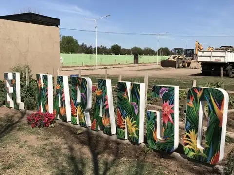 Los Naranjos 2