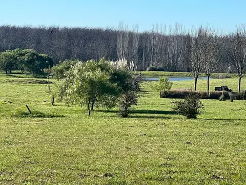 LOTE, CHACRAS DE LA CRUZ, CAPILLA