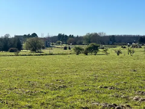 CHACRAS DE LA CRUZ 221 200