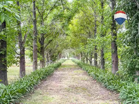 CHACRA EN VENTA  BARADERO - Tranquera Cerrada -9HA