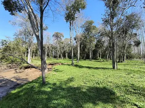 Rio o Arroyo Paicarabi 12 HA 180 mts de frente