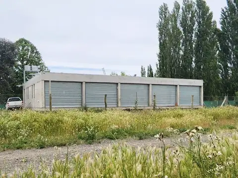 Acceso Nueva España 300