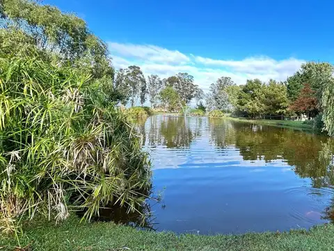 Terreno en Venta en Otro, USD 79.000