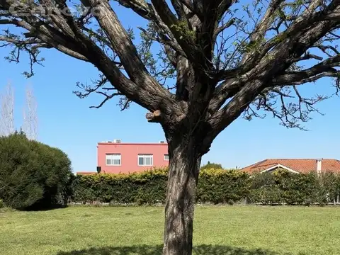 San Francisco Villanueva