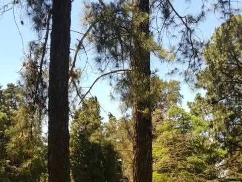 LOTE EN BARRIO PRIVADO EN LOMAS DE SAN FRANCISCO 