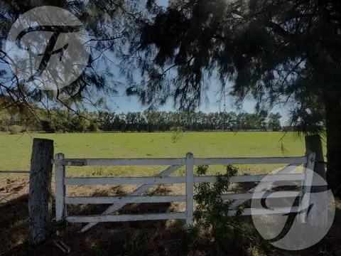 Financiación en 40 cuotas de 800 dólares - Venta de Lote en Nordeste San Pedro