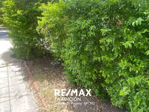 José Hernández 1900