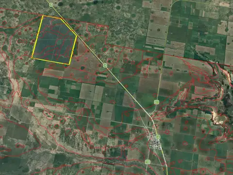 ALQUILER 700HA - CAMPO GANADERO EN ELISA