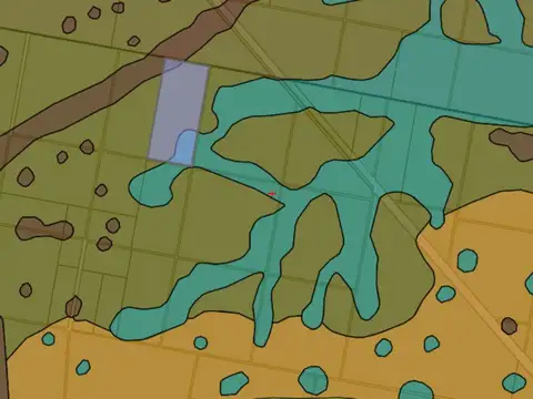 ALQUILER 700HA - CAMPO GANADERO EN ELISA