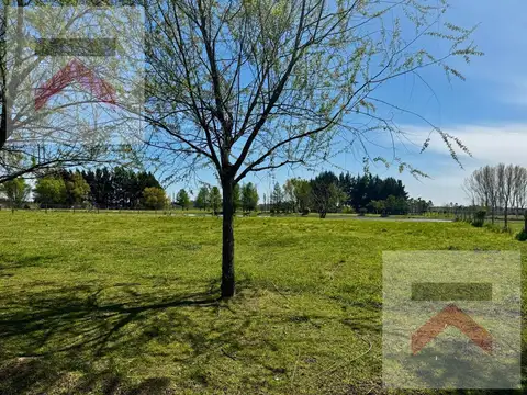 Terreno en Venta de 1100,0 m2
