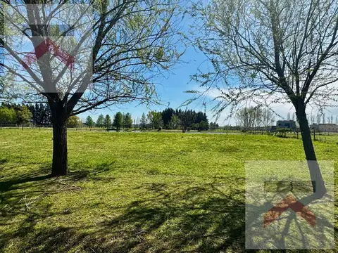 Chacras de la Reserva al 100