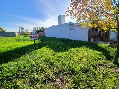 Terreno | 315 m² | Sobre Boulevard principal | Capitán Bermúdez | Barrio Quinta Cairo