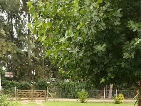 Quinta en Venta en Villa Parque Sicardi, USD 99.000