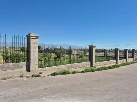 Juan José Paso 100