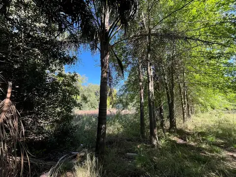 Lote a la Venta, La Lonja, Pilar, Zona Norte, Buenos Aires