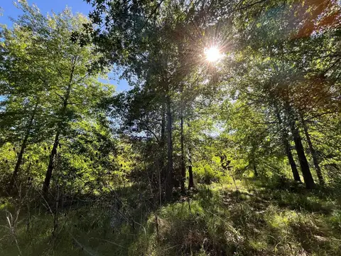 Terreno en Venta de 9850,0 m2