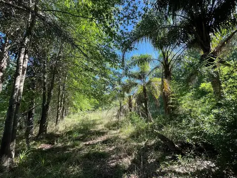 Terreno en Venta en La Lonja, USD 300.000