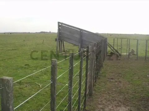 Campo en Venta de 467  ha