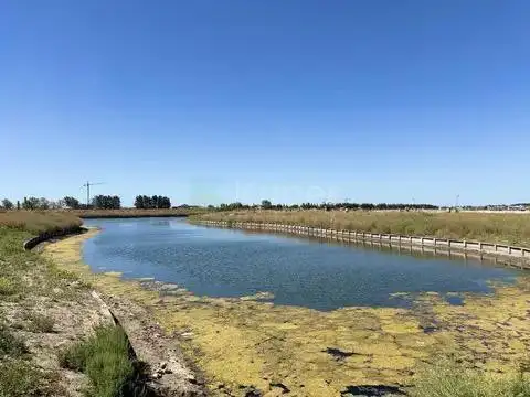 Terreno en Venta en Nordelta, USD 250.000