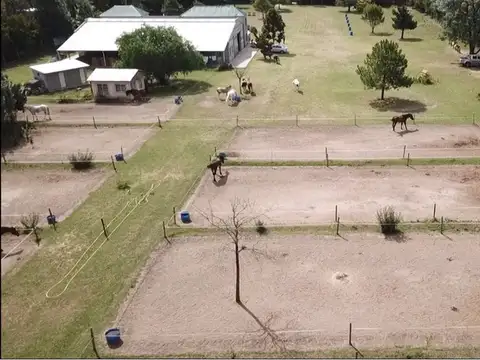 Quinta en Venta en Villa Elisa, USD 450.000