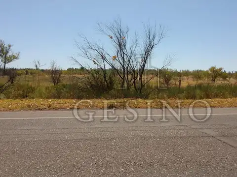 Terreno - General Alvear