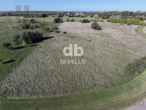 Campo en Venta en Estancia Benquerencia Farm Club, Countries y Barrios Cerrados en San Miguel del Monte
