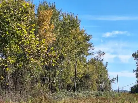 VENTA DE CHACRA CON CASA EN AYARZA - CHIVILCOY