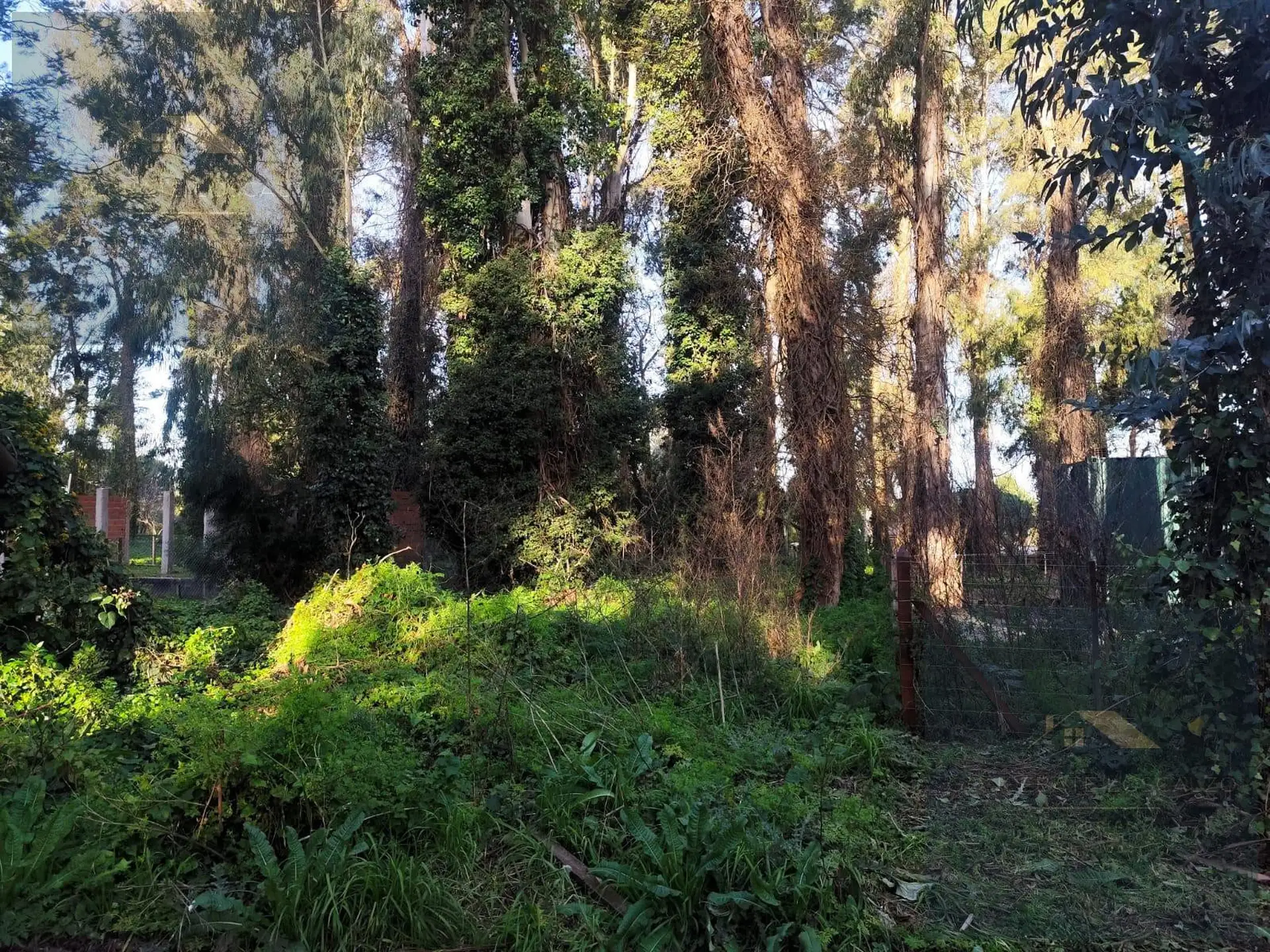 Terreno en Bosque Peralta Ramos a la venta