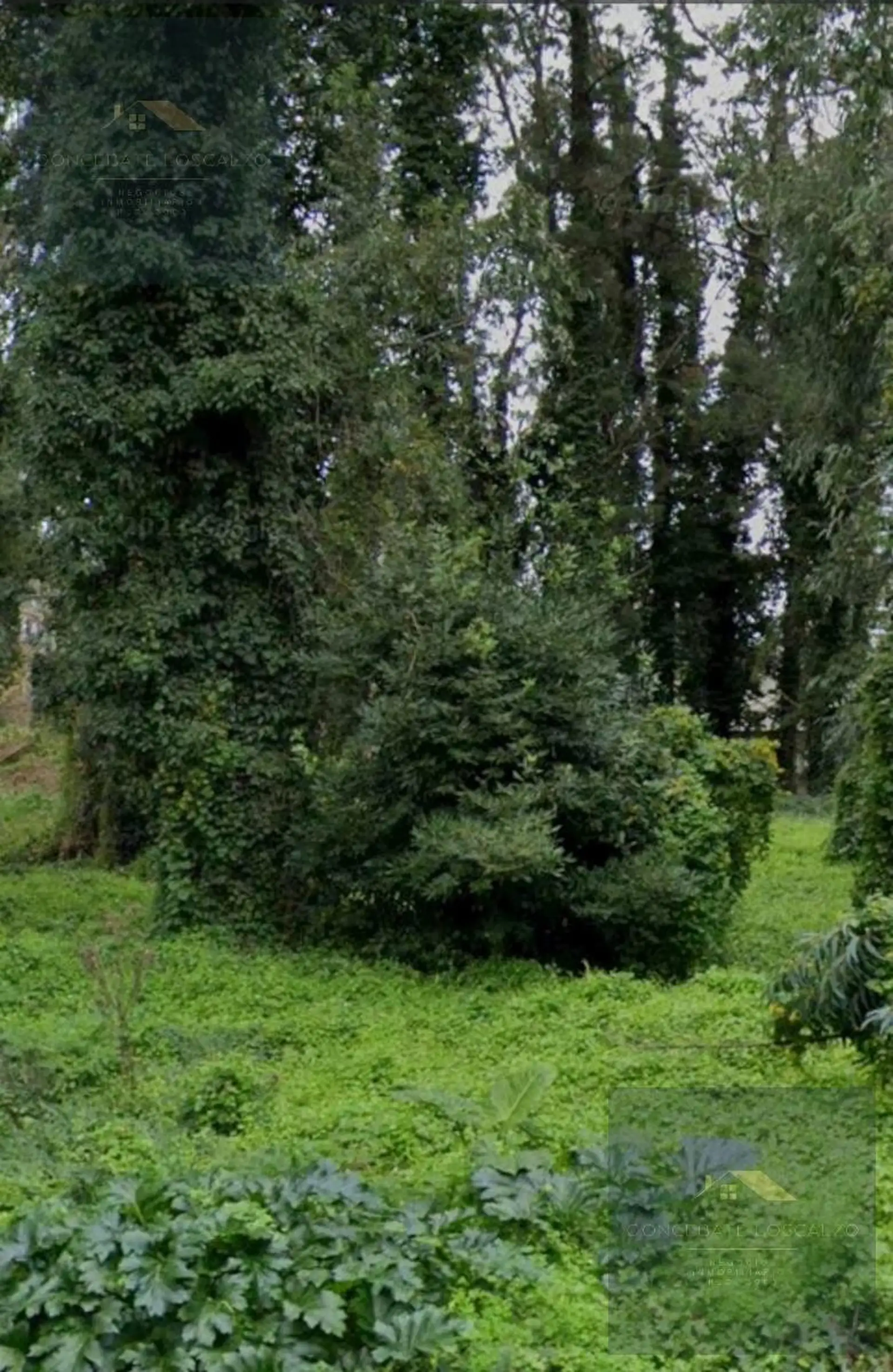Terreno en Bosque Peralta Ramos a la venta