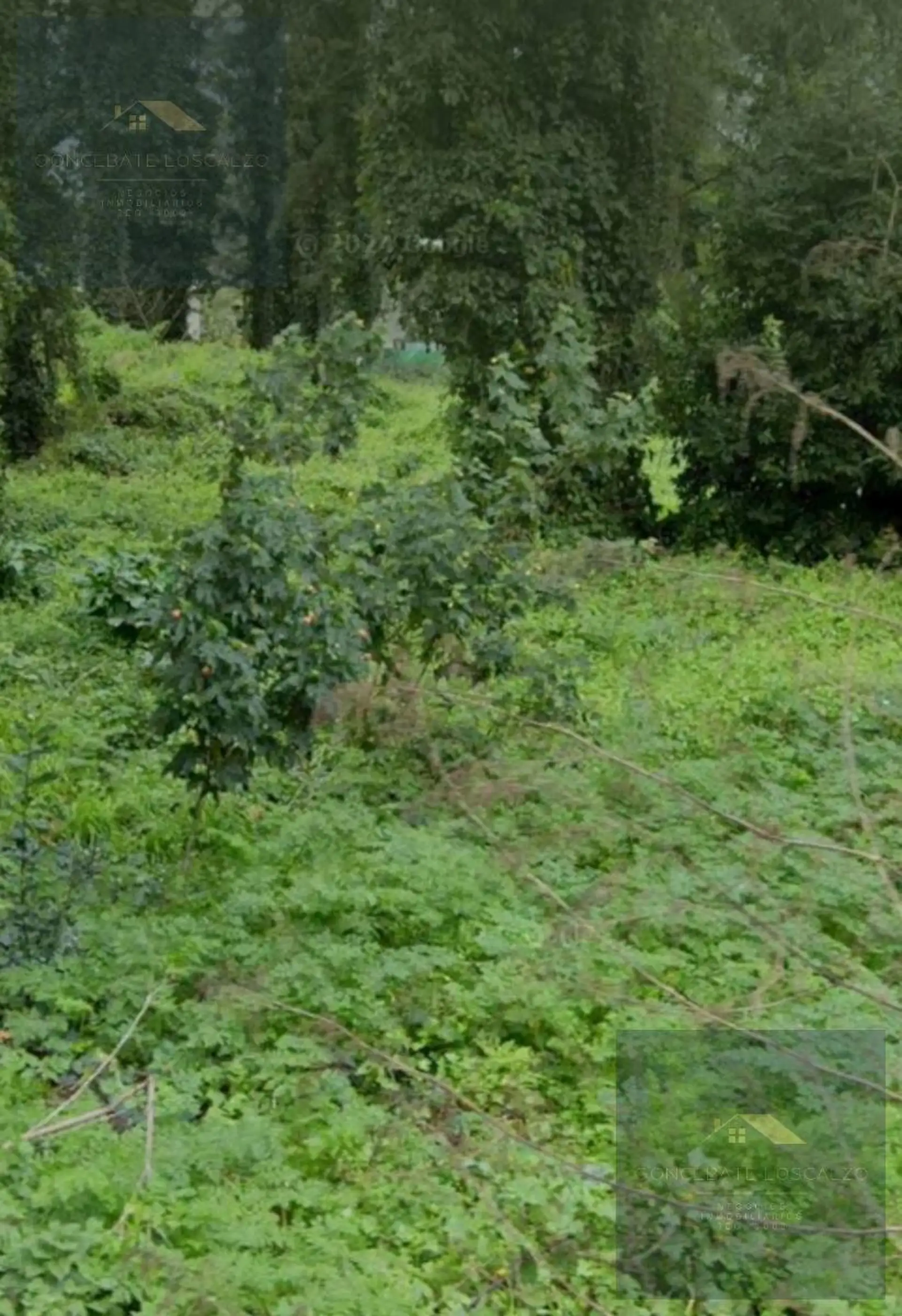Terreno en Bosque Peralta Ramos a la venta