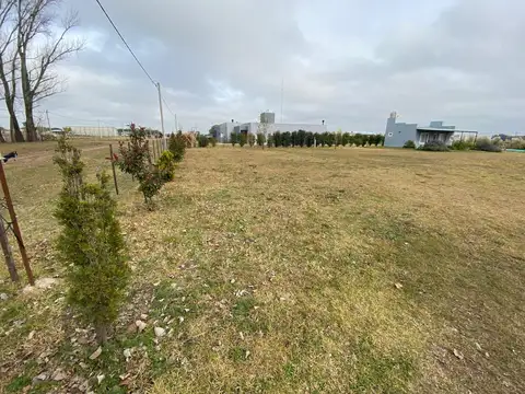 Quinta en Venta en Saladillo, USD 80.000