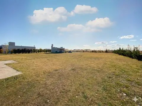 Quinta en Saladillo