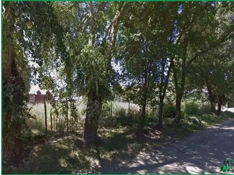 San Martín Y Patagonia 200