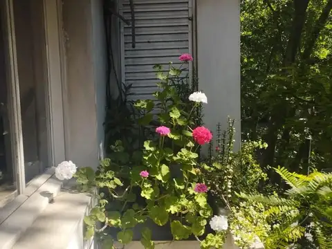 Departamento en  casco URBANO. La Plata