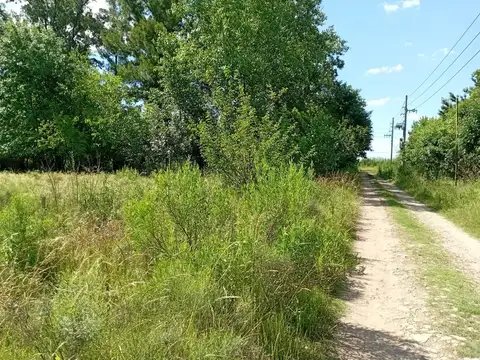VENTA LOTE 5.000M2 EN GRAL. RODRIGUEZ RUTA 24