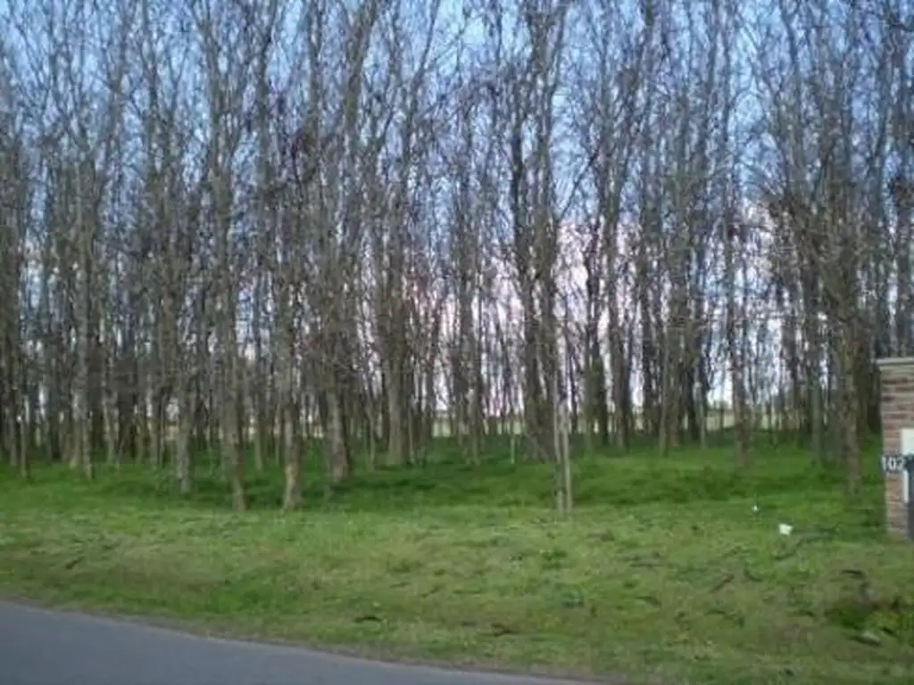 Casa en Estancia de Pilar en alquiler temporario, 6 dormitorios - Foto 53