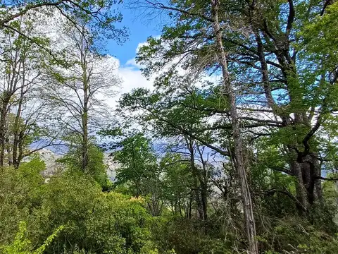 Terreno en Venta en San Martin de los Andes, Lácar