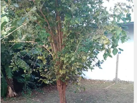 Casa en Alquiler de 3 dormitorios