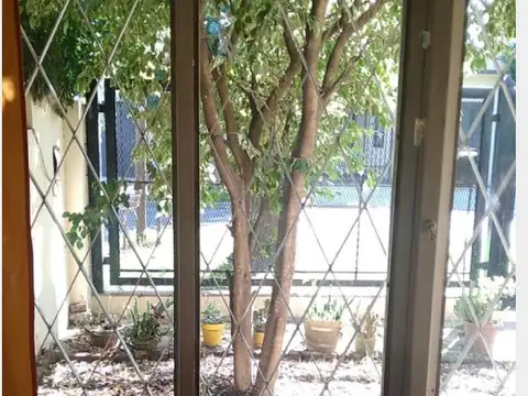 Casa en Alquiler con 3 cocheras